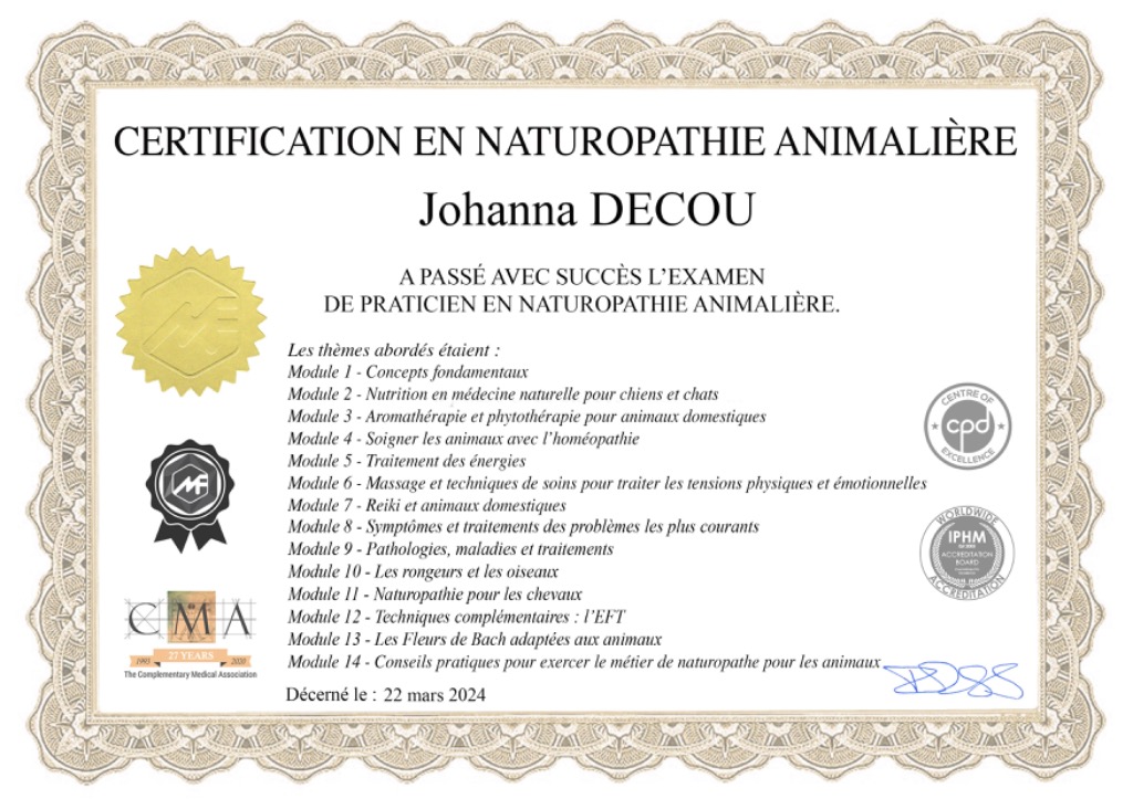 photo diplome Johanna Decou 