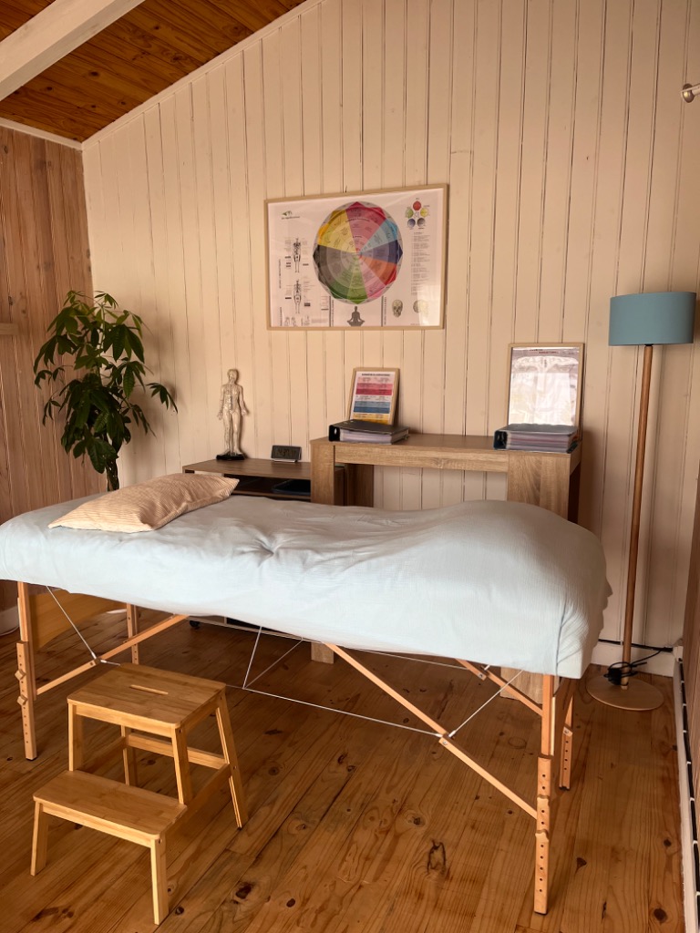 photo seance Stéphanie André Kinésiologue Certifiée