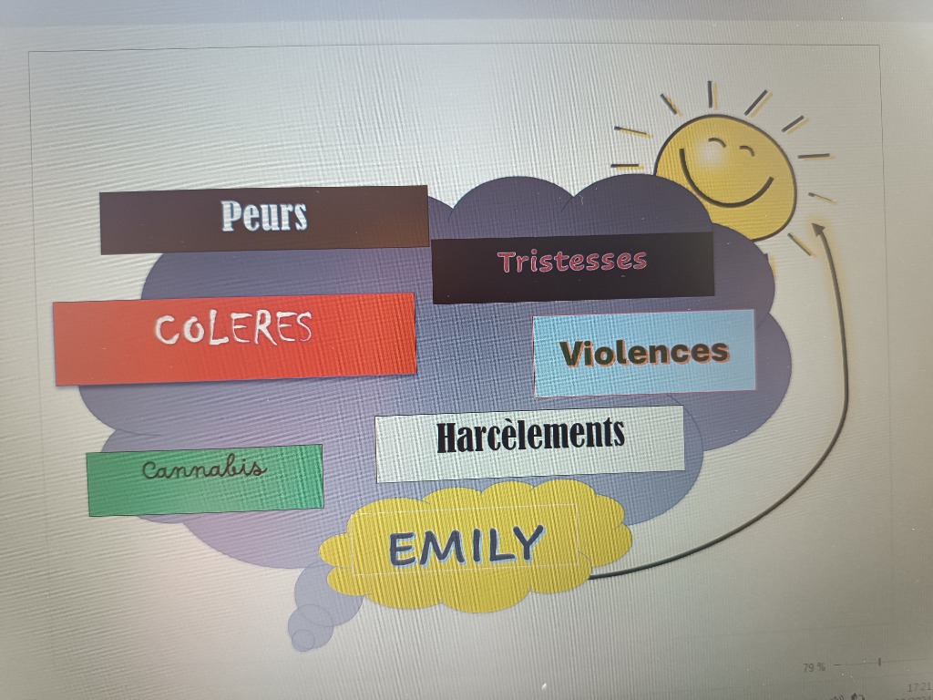 photo activite Emily Thérapeute 