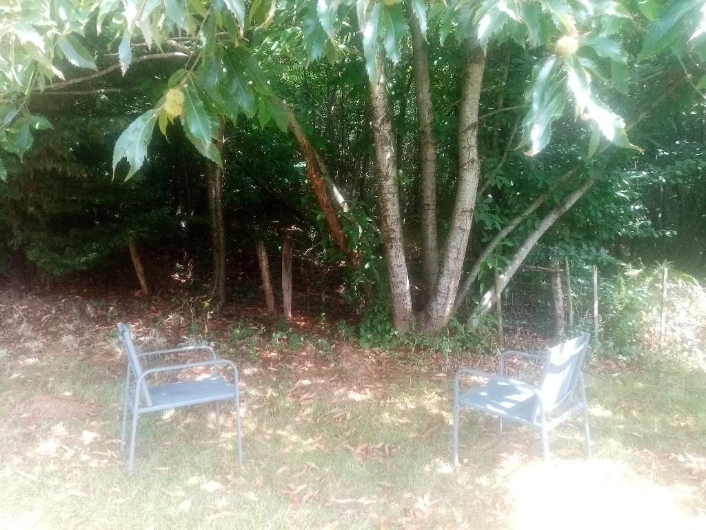 photo diplome Annie ARGA