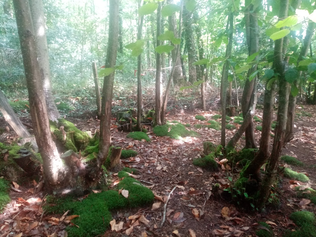 photo portrait Annie ARGA