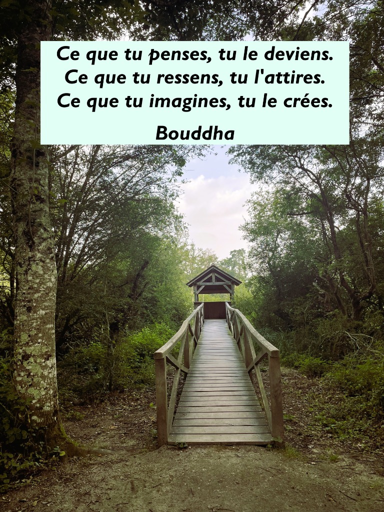 photo cabinet PLACIDE MAGNETISME