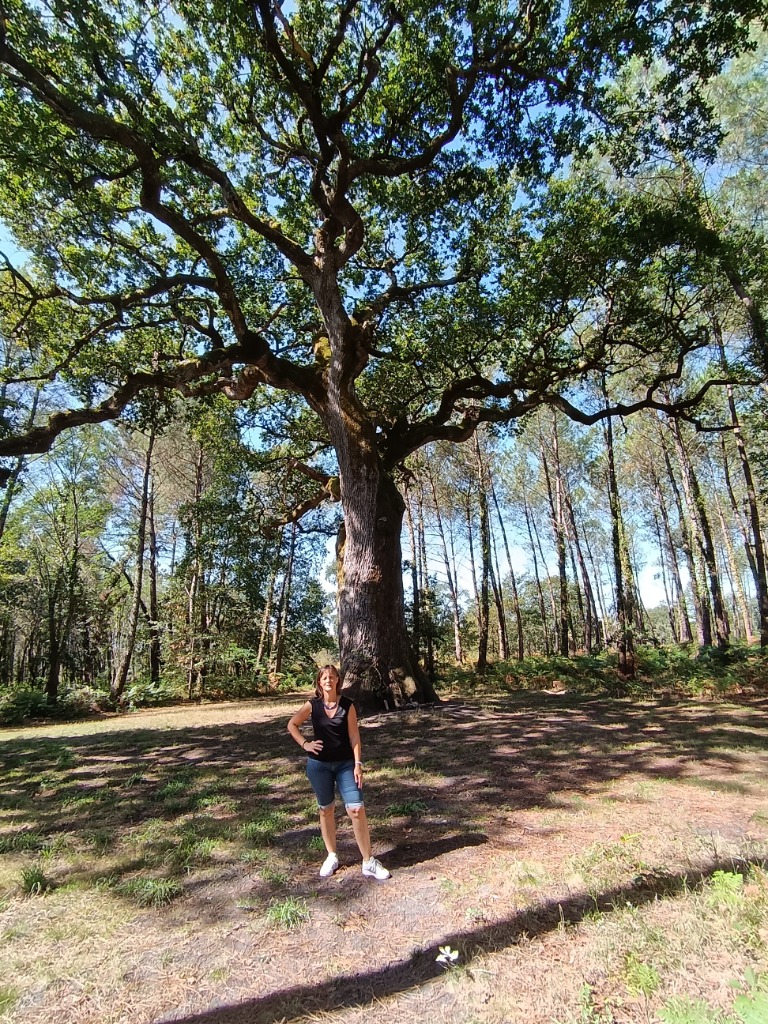 photo activite Nathalie FIACHETTI