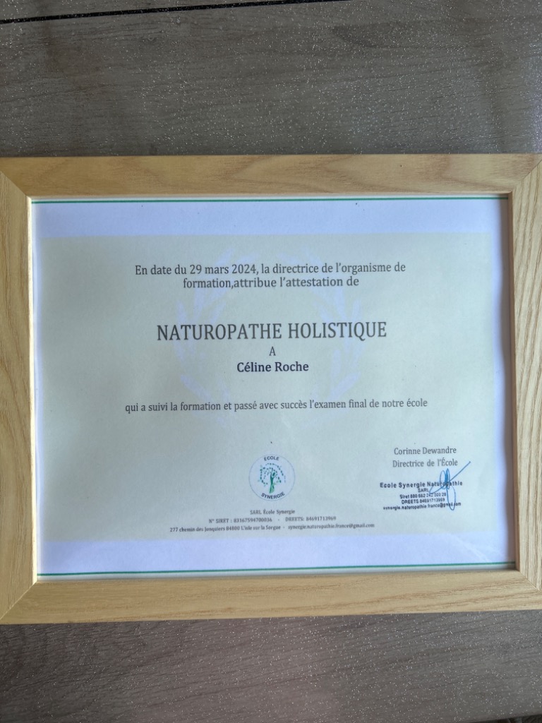 photo diplome Objectif Reconnexion ROCHE Céline EI