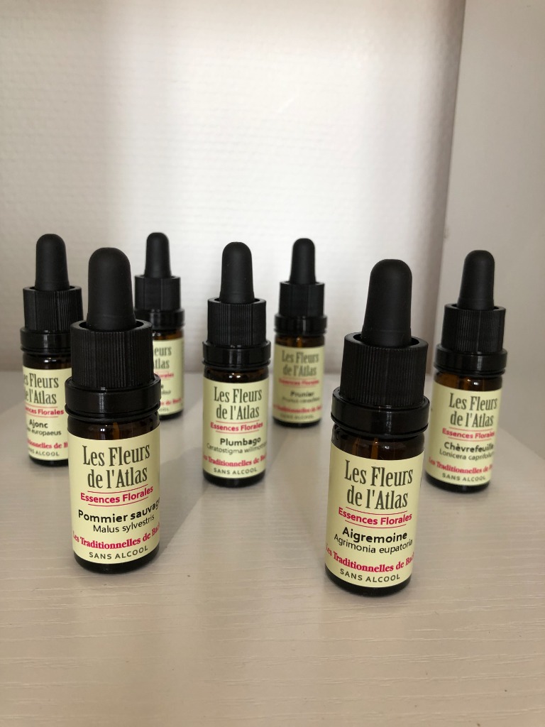 photo activite Stéphanie MAURY