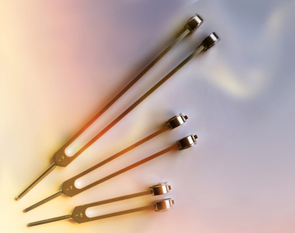 photo activite Elisabeth Cruard Naturopathe