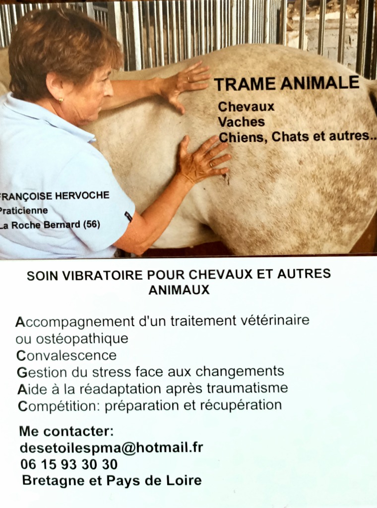 photo activite Françoise Hervoche