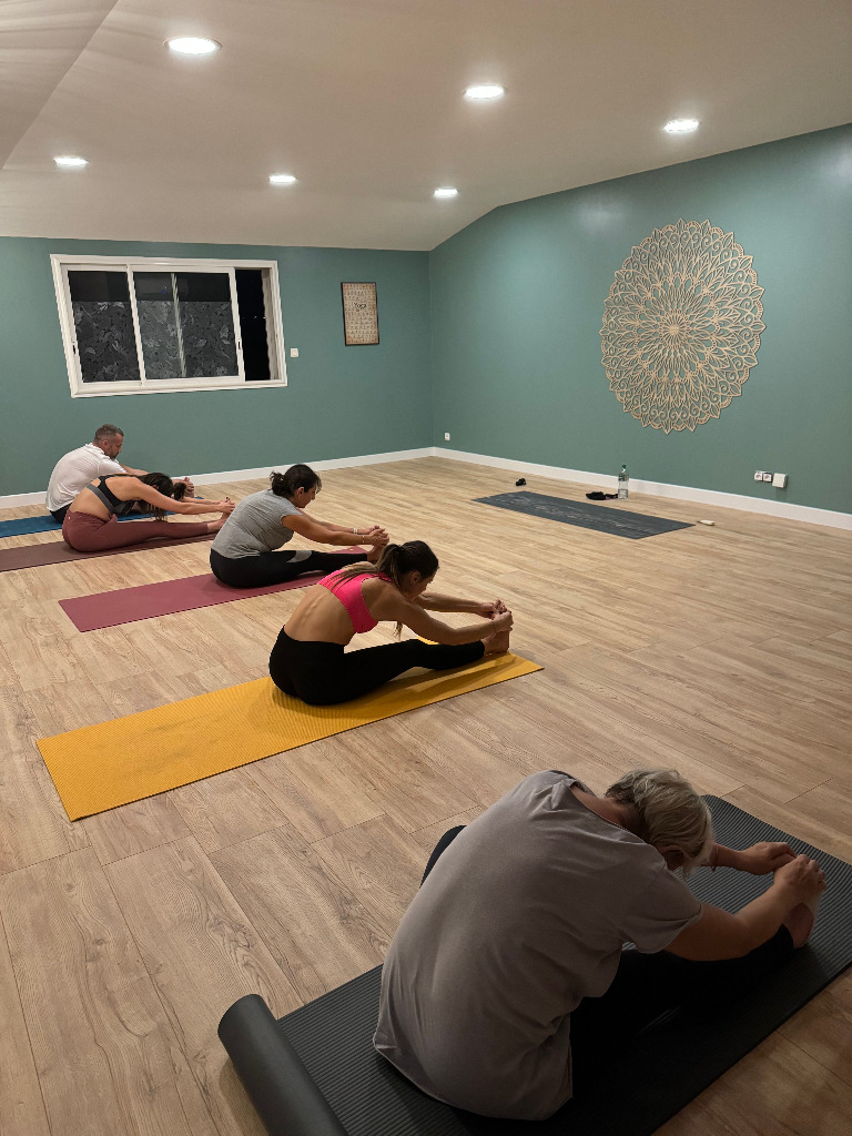 photo seance Aurélie Ashtanga Yoga