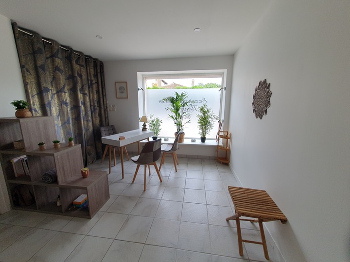 photo seance Emmanuelle Vuillen Kinésiologie