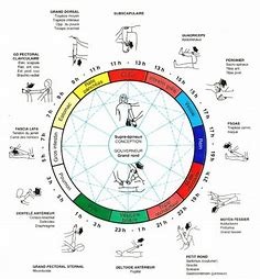 photo activite Sandrinekinesiologie