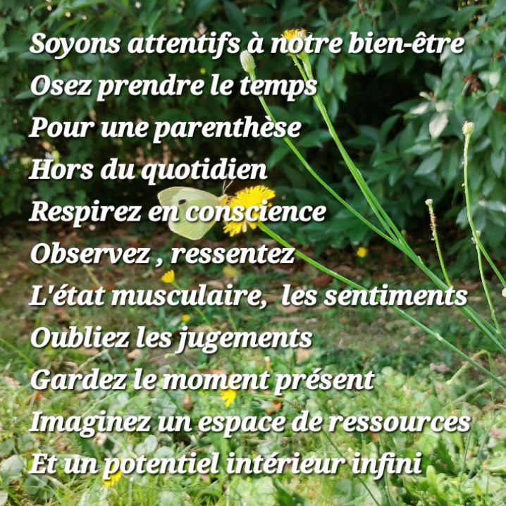 photo portrait Denaud Cindy