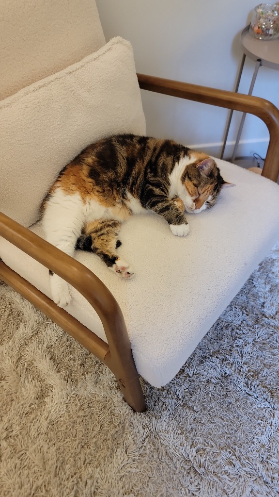 photo seance Axelle Badot