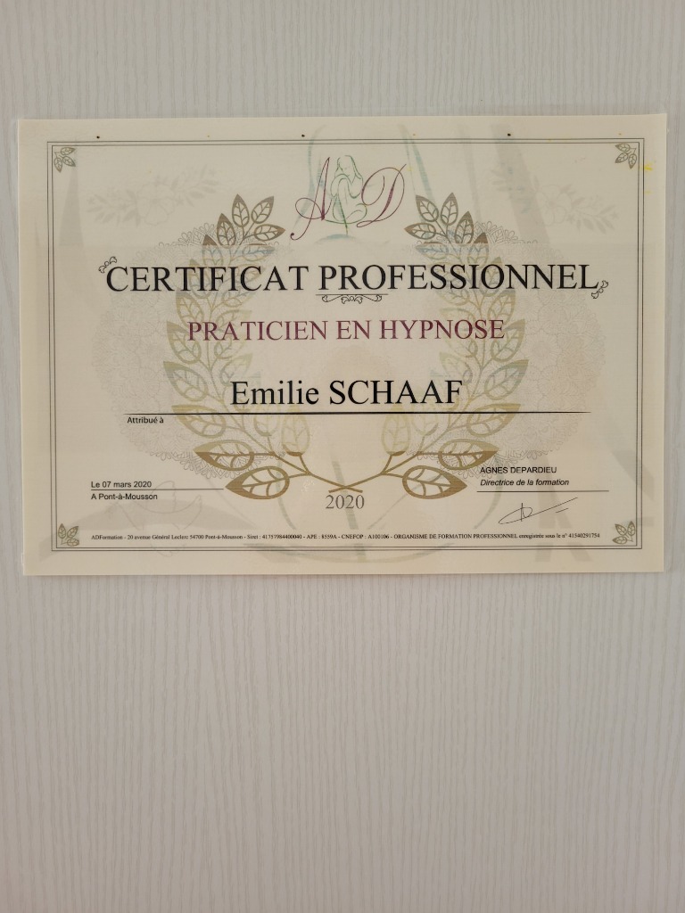 photo diplome La Lueur des lucioles