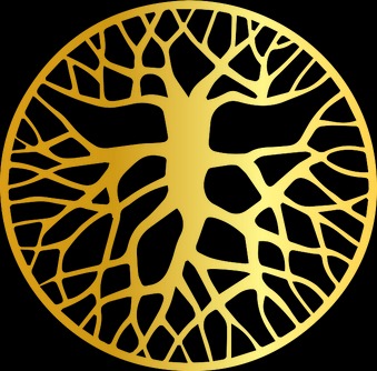 photo cabinet L’Equilibrium