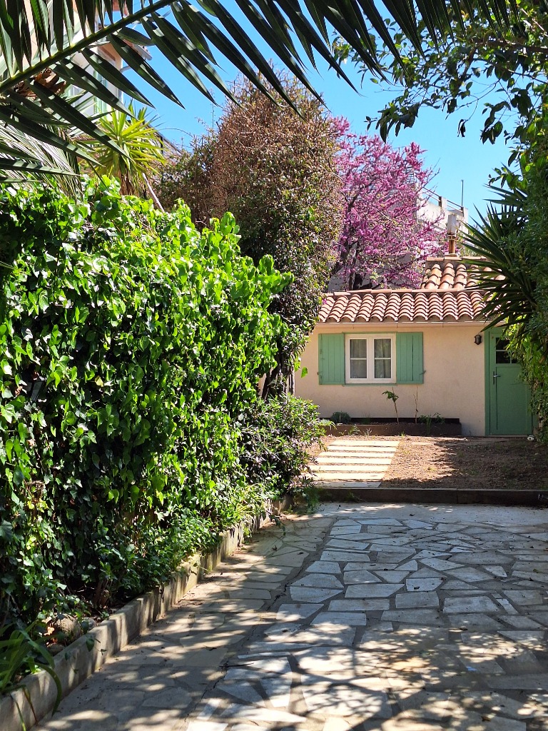 photo cabinet Laura Birade Zimer