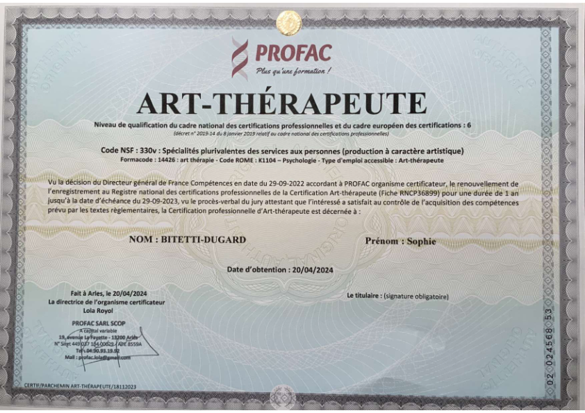 photo diplome "Inspiration singulière" Sophie Dugard