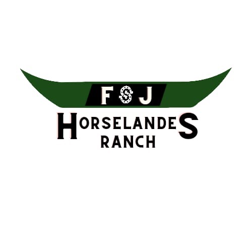 photo cabinet Julia Salokat