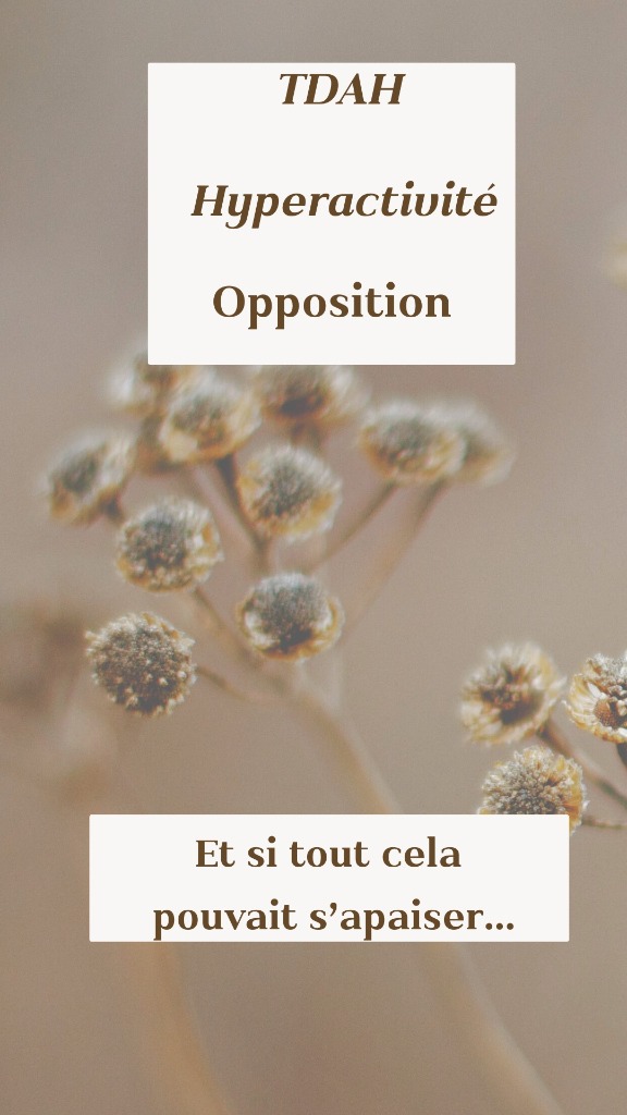 photo activite Magali Voeckler Magnétiseuse.Réequilibrage