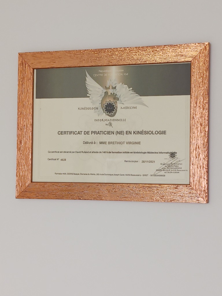 photo diplome Virginie Brethiot