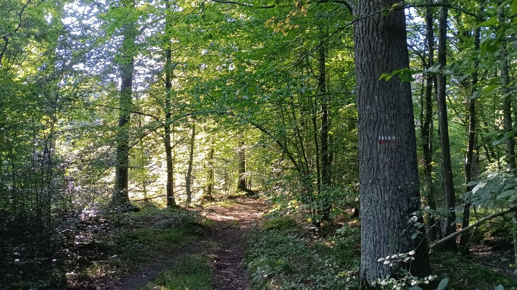 photo cabinet Odrey bien-être 