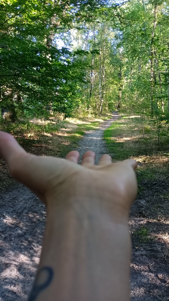 photo seance Odrey bien-être 