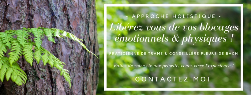 photo cabinet Amélie Lebrequier