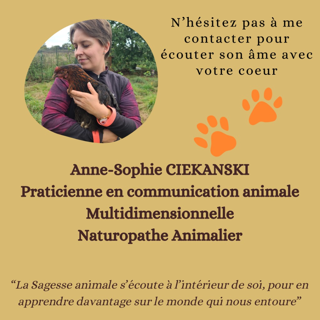 photo activite Anne-Sophie CIEKANSKI