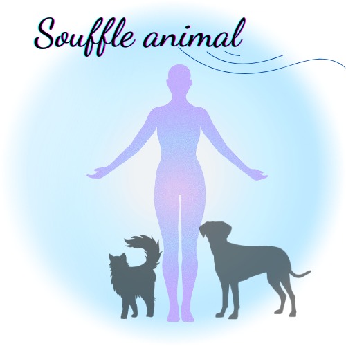 photo cabinet Anne-Sophie CIEKANSKI