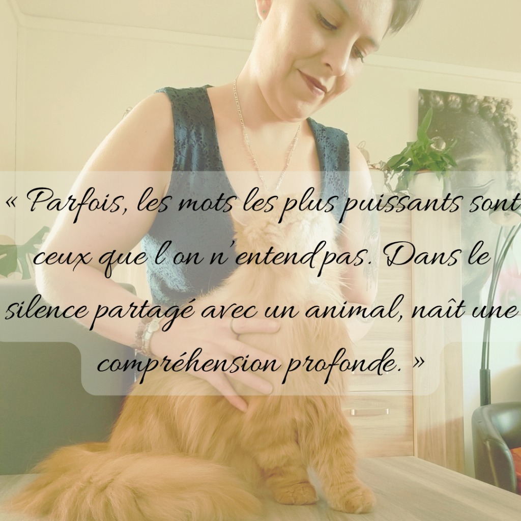 photo seance Anne-Sophie CIEKANSKI