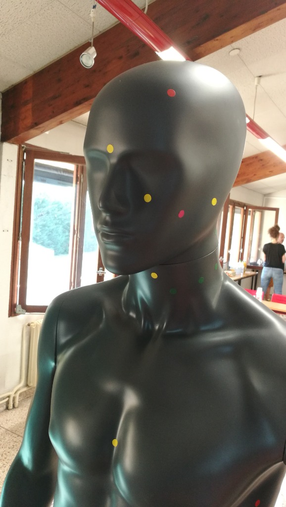 photo activite David MERLET EI