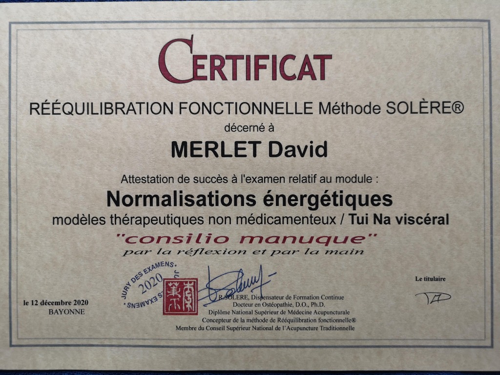 photo diplome David MERLET EI