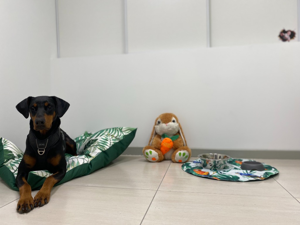 photo seance AnimaTe Kinesio