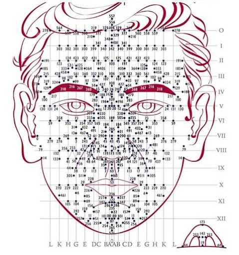 photo portrait CABINET EFFICIENCE