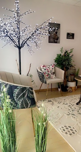 photo seance CABINET EFFICIENCE