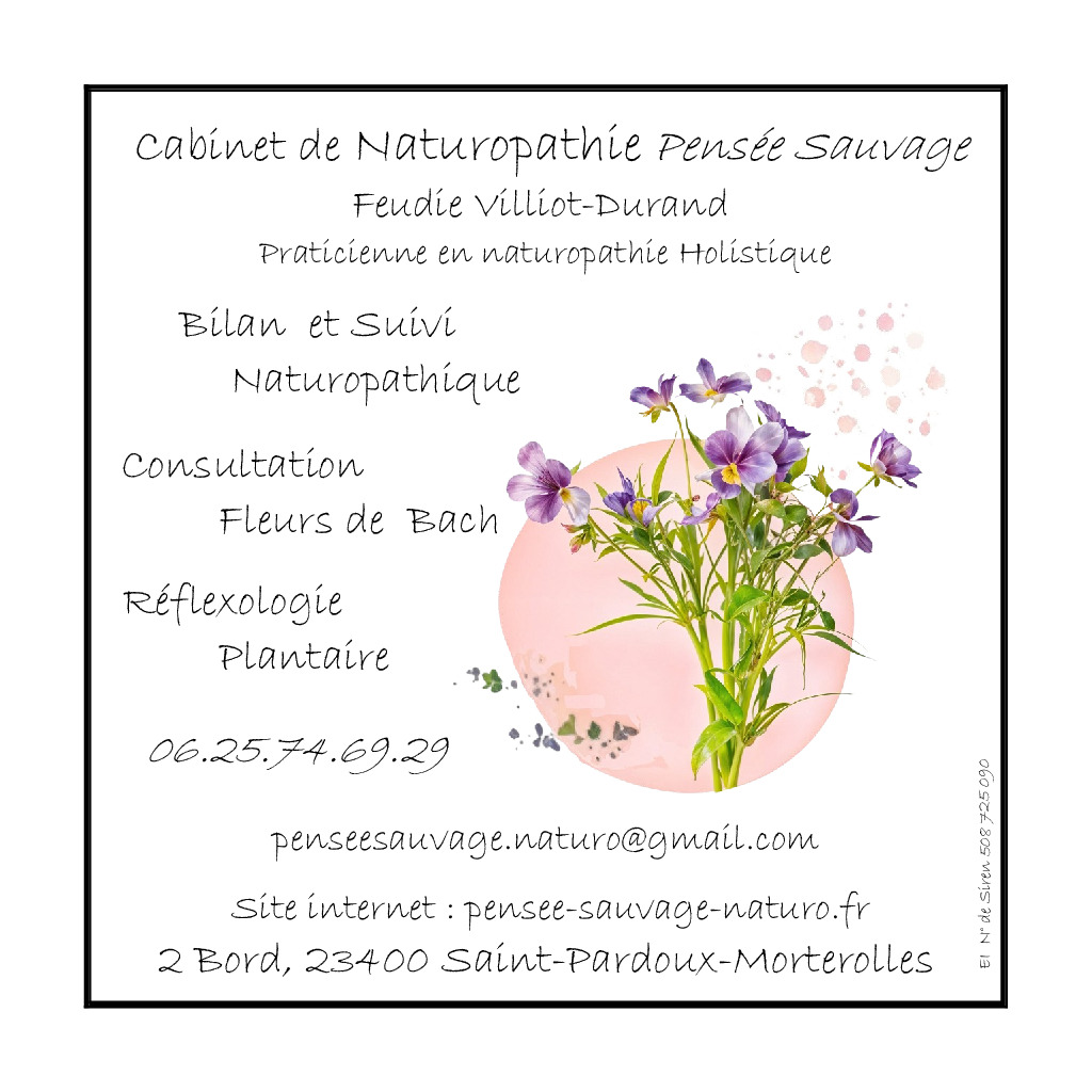 photo activite Feudie Villiot Durand - Pensée Sauvage