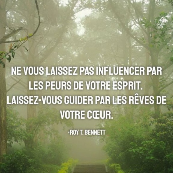 A l aurore de la chrysalide 