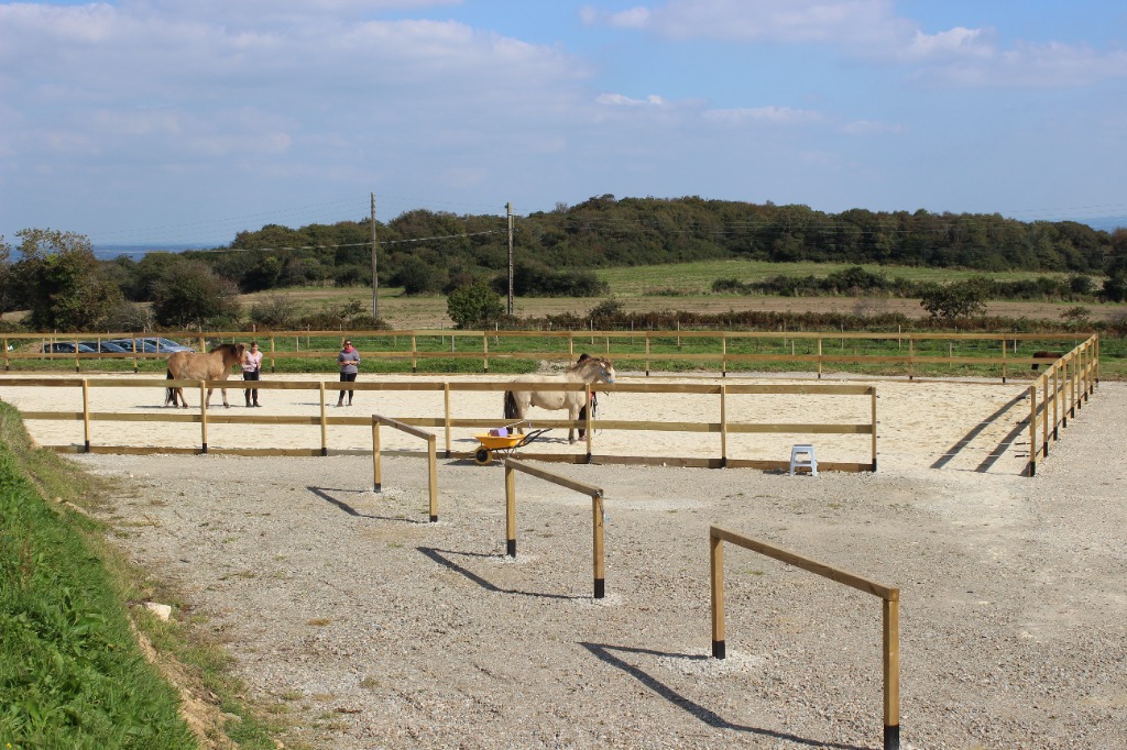 photo cabinet Solenn Bouger Terre Animale