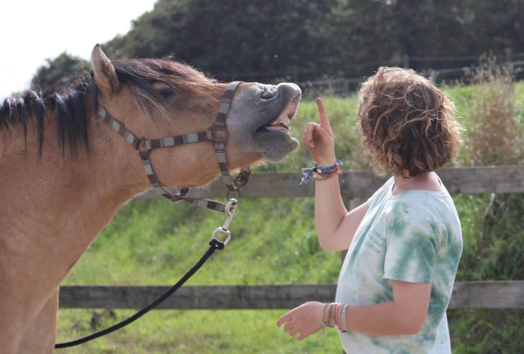 photo seance Solenn Bouger Terre Animale