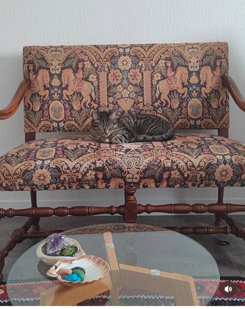 photo cabinet Furuzan  ozer