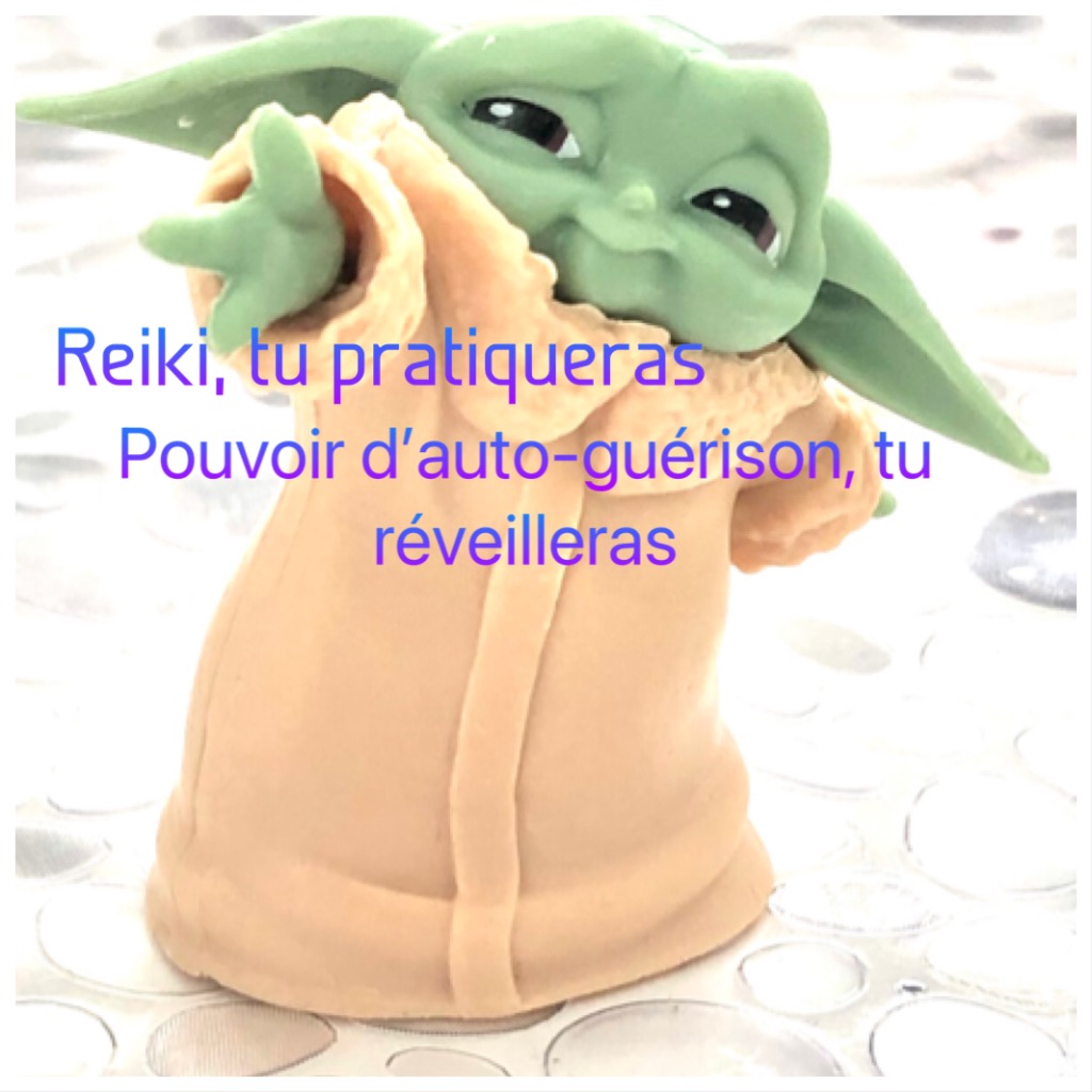 photo portrait Association Bonsoleil