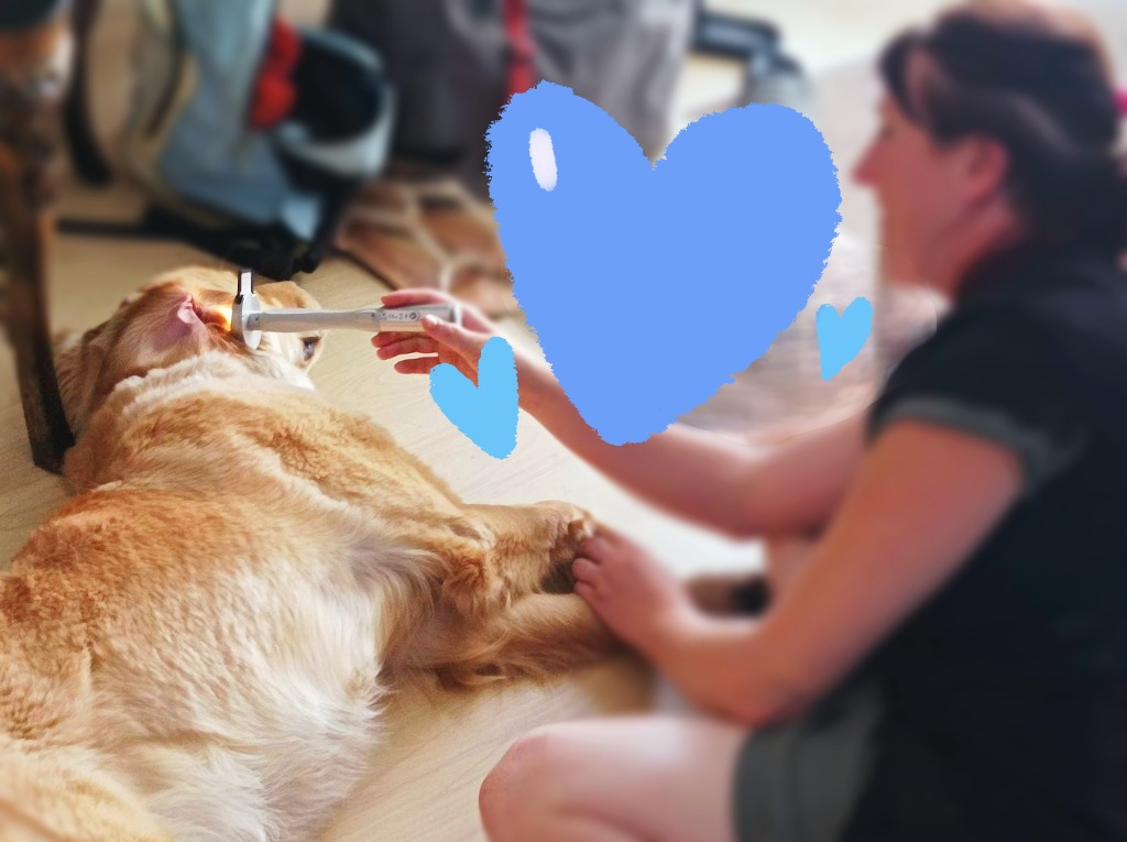 photo activite Réflex’O pattes 