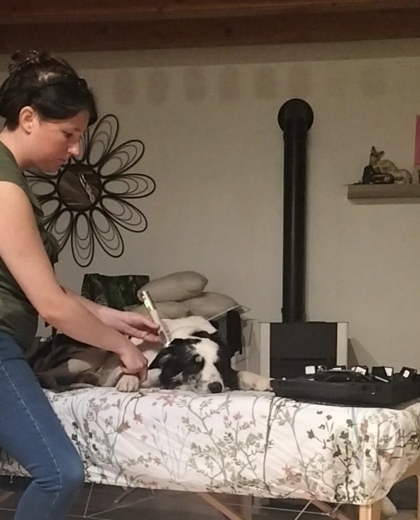 photo seance Réflex’O pattes 