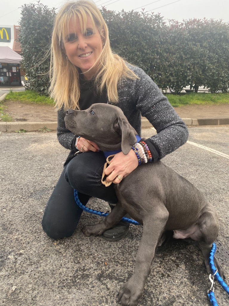 photo portrait Roz Ar gall reiki Usui et communication animale