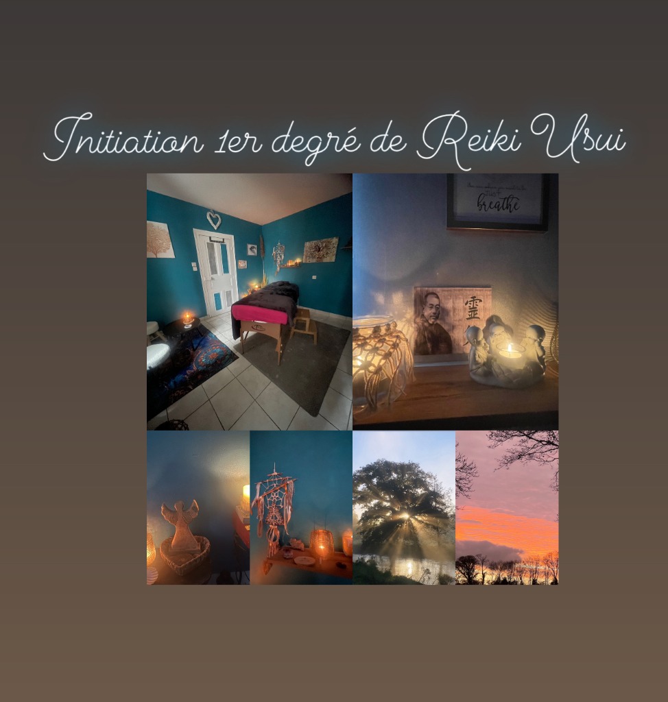 photo seance Roz Ar gall reiki Usui et communication animale