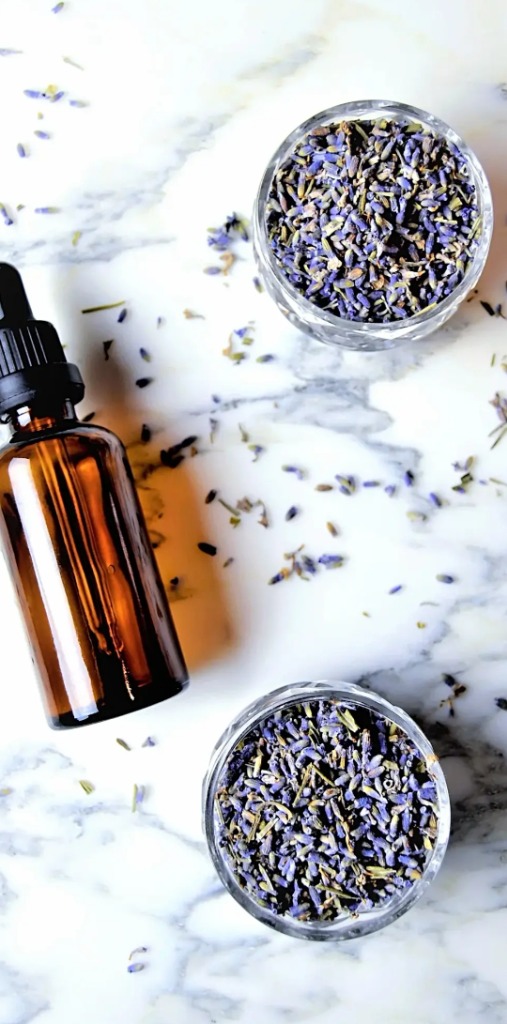 photo activite Anahata Chandra Surya