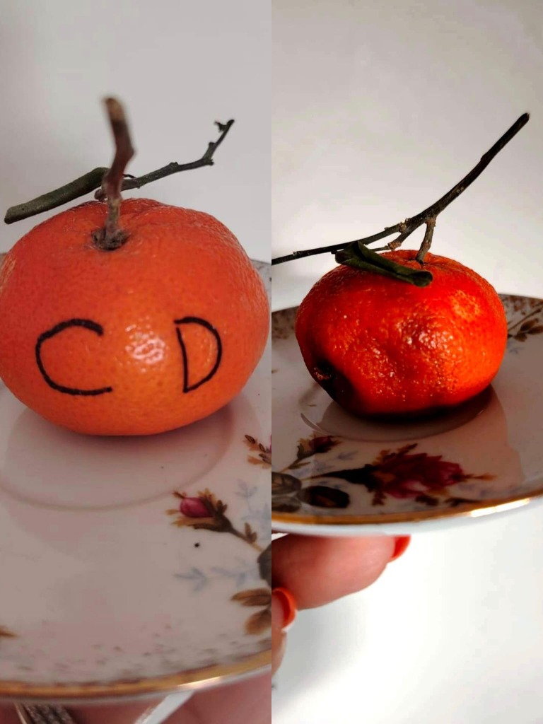 photo activite Carole D