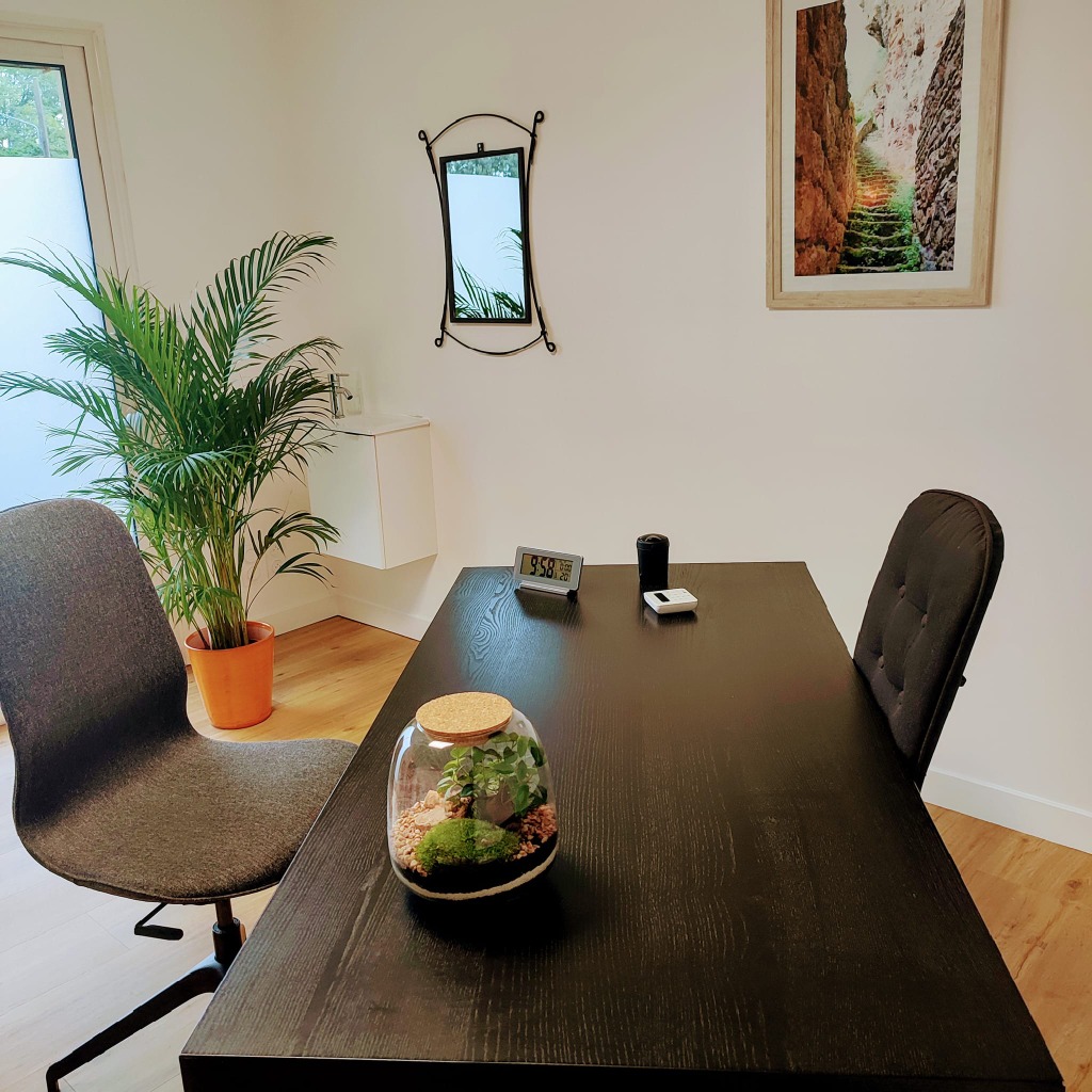 photo portrait Nathalie Combillet Sophrologue