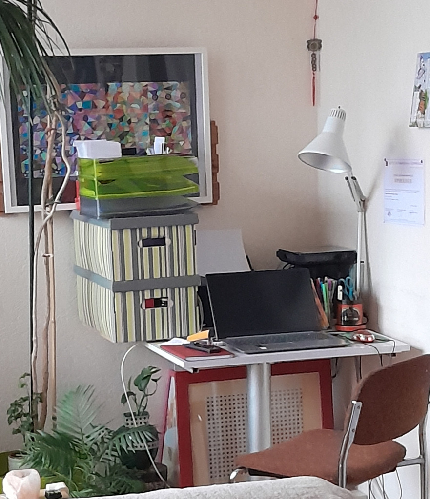 photo cabinet Morin-Piquerel Michèle