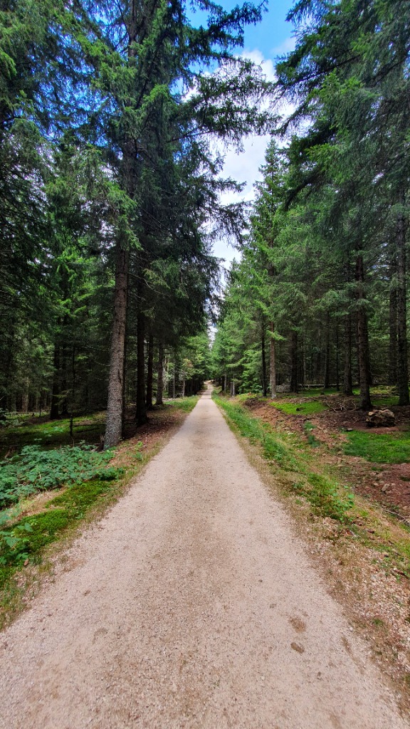 photo activite Leïla BENYOUNES - Parallaxion