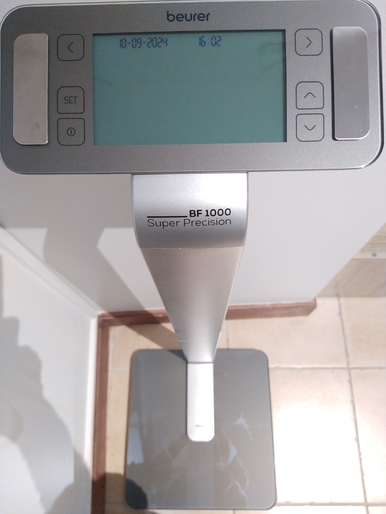 photo activite Shirin Rousset